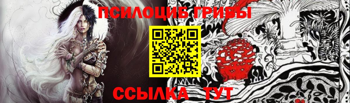 Псилоцибиновые грибы мицелий Касимов